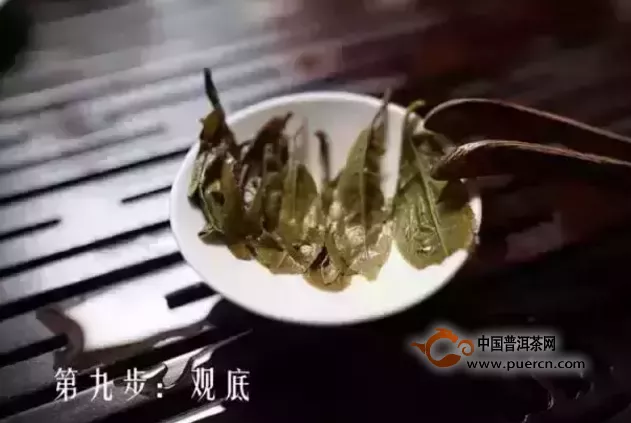 普洱茶葉底