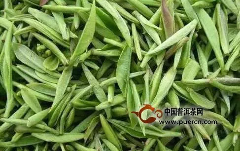 綠茶春茶好還是秋茶好