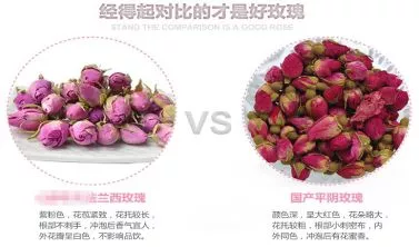 平阴玫瑰和法兰西玫瑰有什么区别，哪个更好？