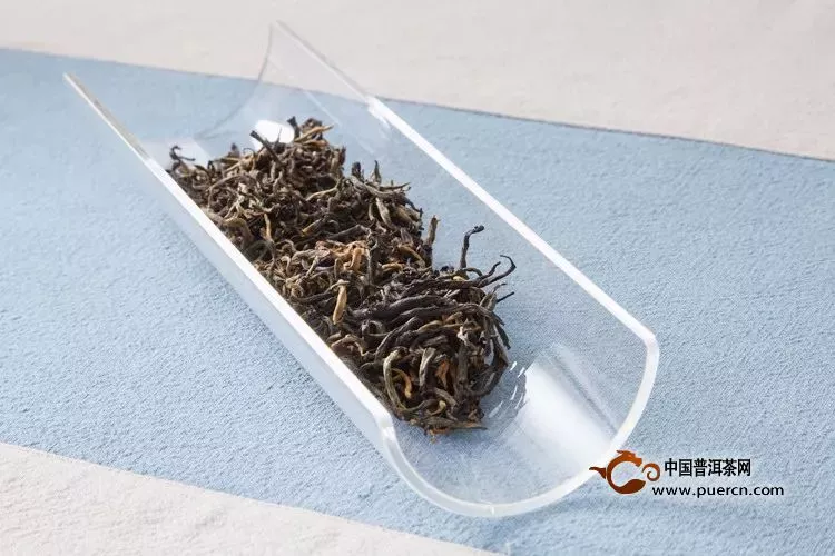 為什么你泡的紅茶不耐泡？