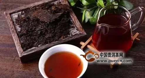 普洱茶，怎么喝？