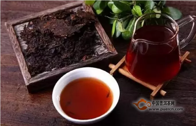 普洱茶是属于什么类型的茶？