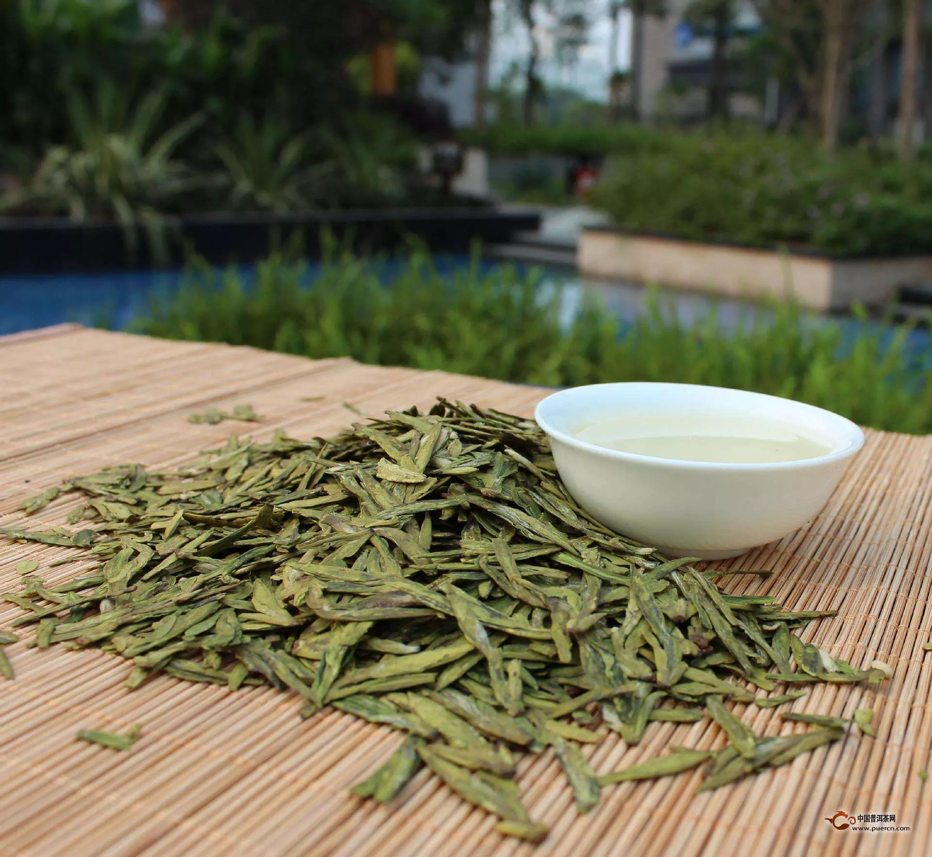 中国茶类的六大品种