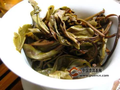 易武落水洞古樹茶特點