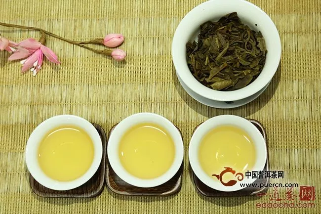 普洱生茶与绿茶的区别
