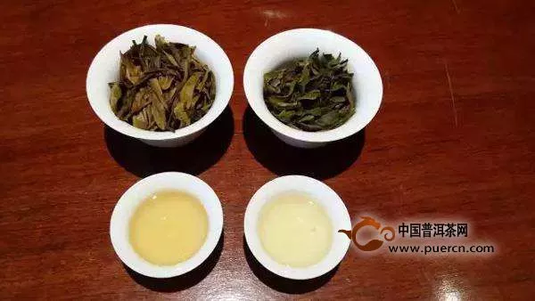 普洱生茶属于绿茶吗