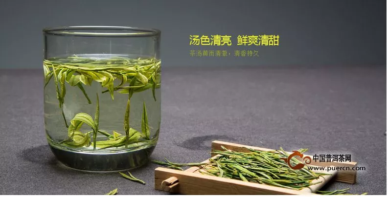 茶中謙君子：綠茶