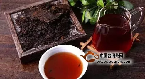 什么是普洱茶的樟香？普洱茶的樟香是怎么形成的?