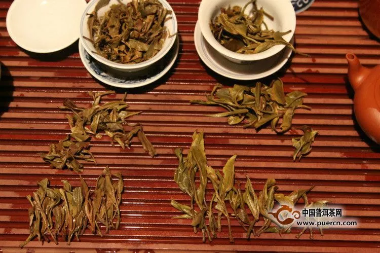 臺地茶和古樹茶的區(qū)別是什么？