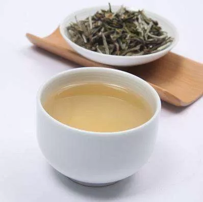 白茶是綠茶嗎