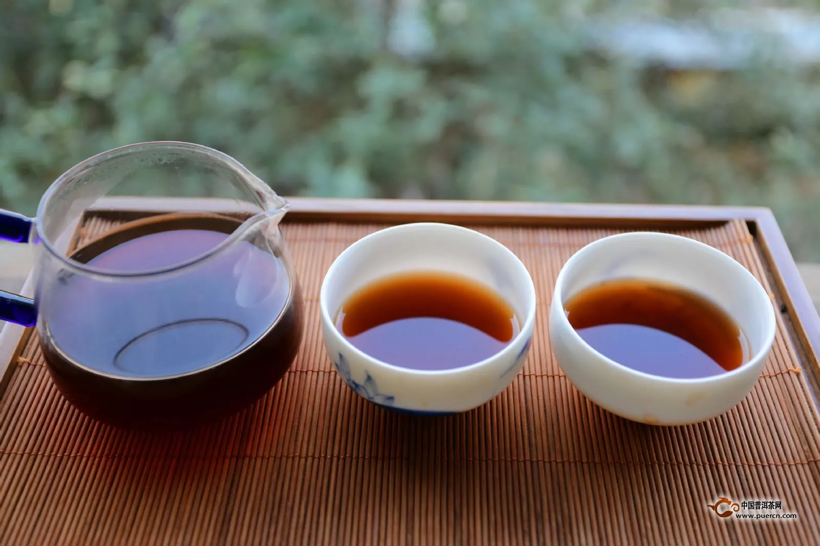 普洱茶能和枸杞能一起泡着喝吗