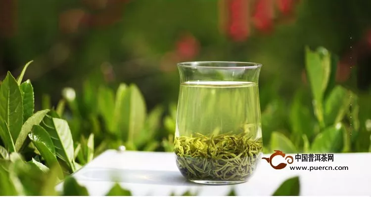 茶的清香和青味有什么区别？