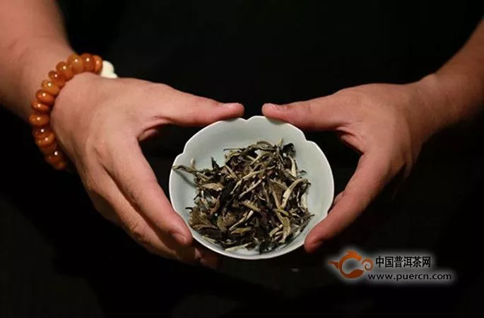 普洱茶叶中含有哪些营养物质