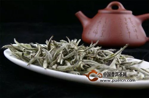 白茶哪种好？带你了解各地白茶特点