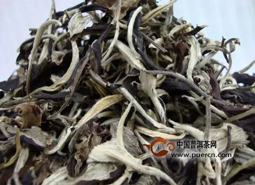 白茶哪种好？带你了解各地白茶特点