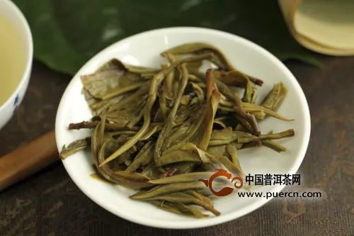 普洱生茶新茶可以喝嗎