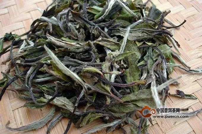 白牡丹茶怎么沖泡才好喝，有什么禁忌