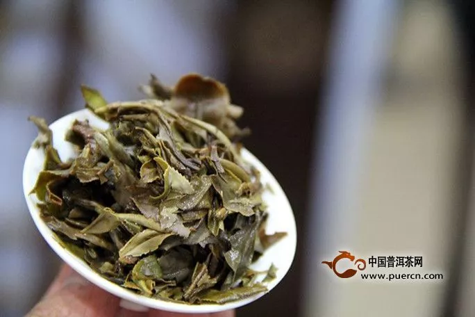 白牡丹茶怎么沖泡才好喝，有什么禁忌