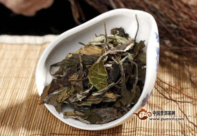 老白茶散茶和餅茶有什么不同