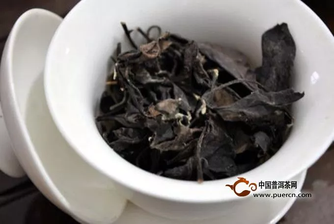 老白茶散茶和餅茶有什么不同