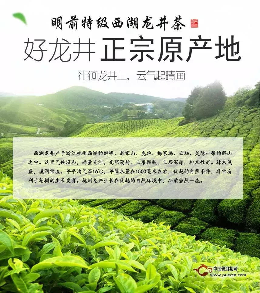 中国最香的七款茶
