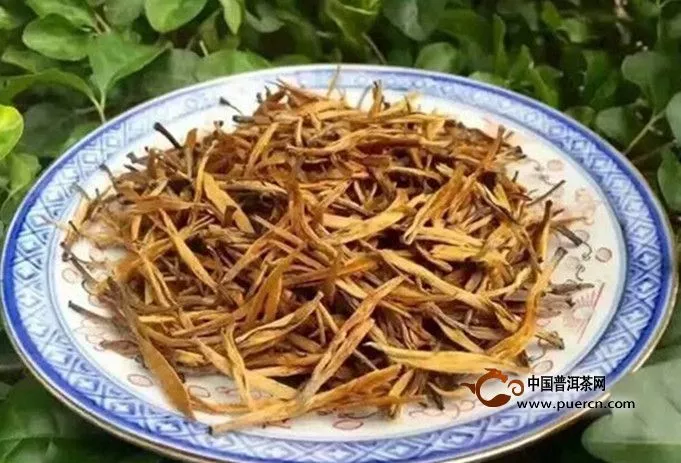 滇紅大金針是什么茶