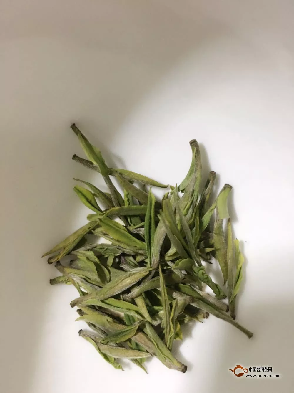 安吉白茶的品质特点是什么