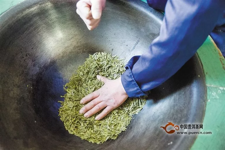 安吉白茶的加工制作工艺流程