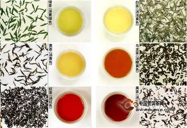 安吉白茶的加工制作工艺流程