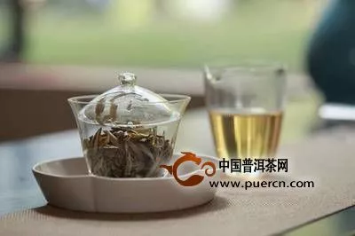 用热水vs冷水浸泡白茶有什么不同？