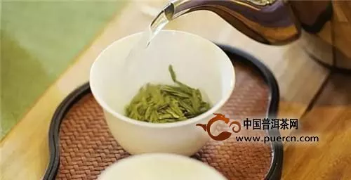 泡龍井茶的水溫多少度