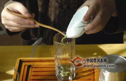 怎么样用玻璃杯泡西湖龙井