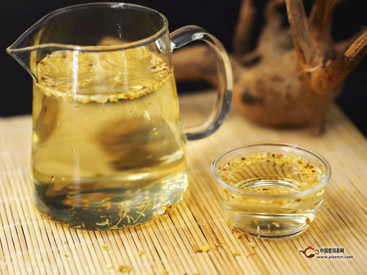 桂花茶可以天天喝吗