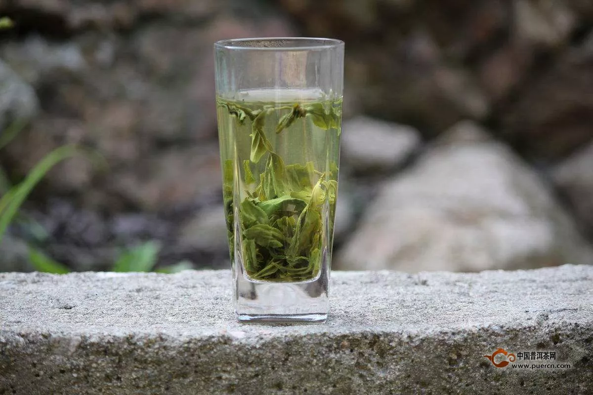 绿茶的品质特征是什么