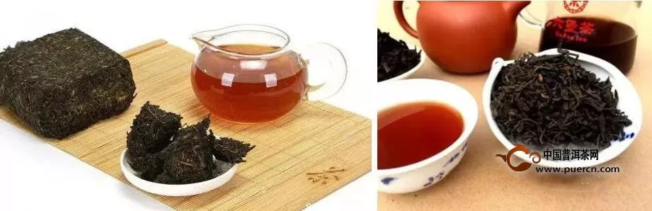安化黑茶和六堡茶的区别