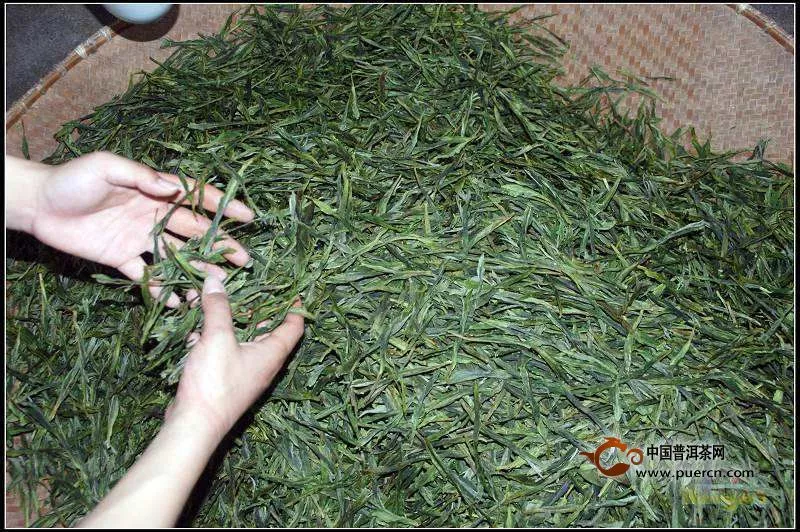 太平猴魁茶叶的保存方法
