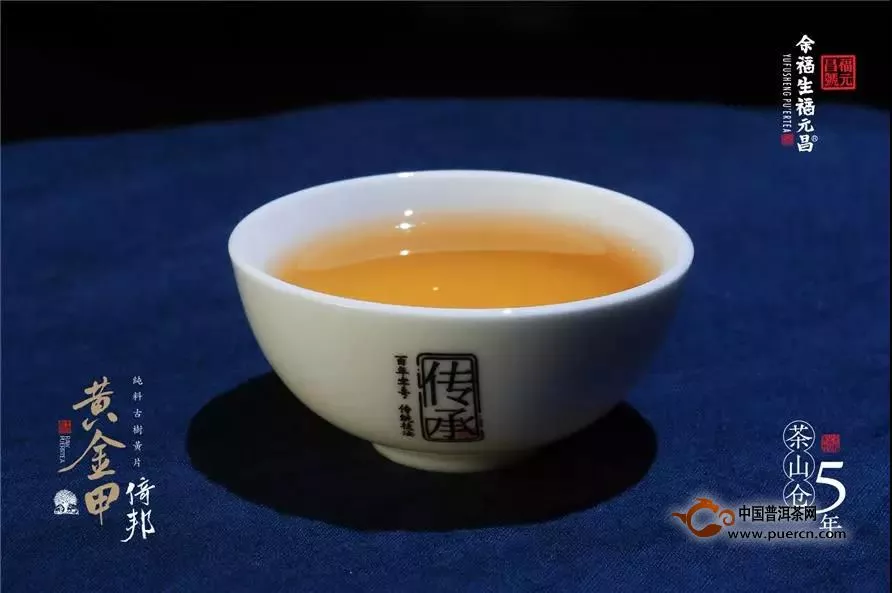 福元昌“黄金甲”倚邦黄片茶汤