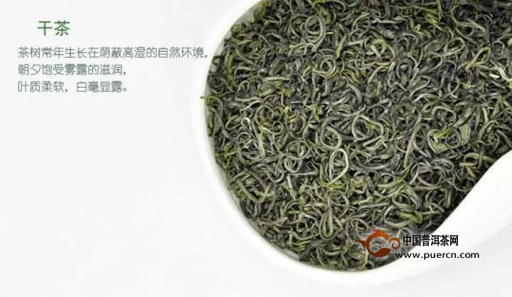 廬山云霧茶有哪些功效與作用