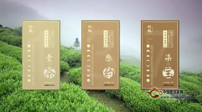 好茶推薦丨福鼎白茶