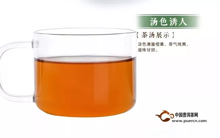 好茶推薦丨中茶蝴蝶白茶