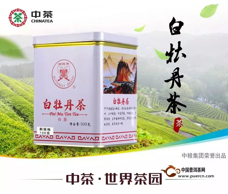 好茶推薦丨中茶蝴蝶白茶