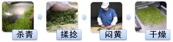 今天给大家讲解中国六大茶类的基本认识！