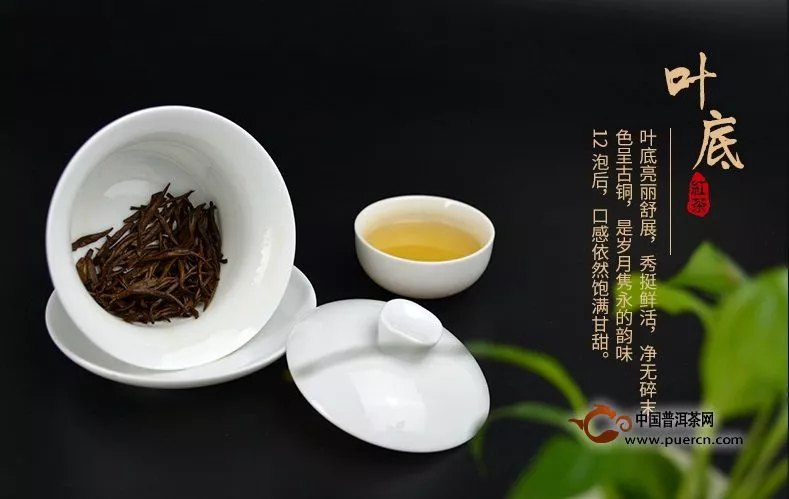 好茶推荐丨“正山堂”红茶来袭，400余年的红茶传承果真名不虚传