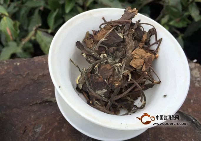 壽眉白茶怎么泡