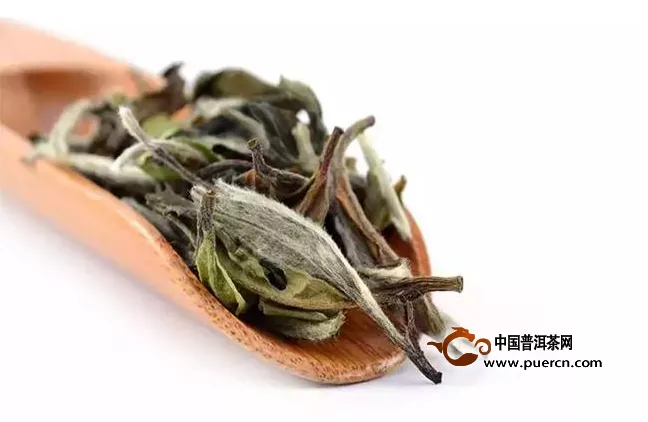 白牡丹茶怎么泡好喝