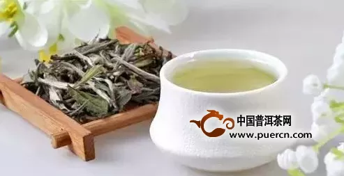 白牡丹茶怎么泡好喝