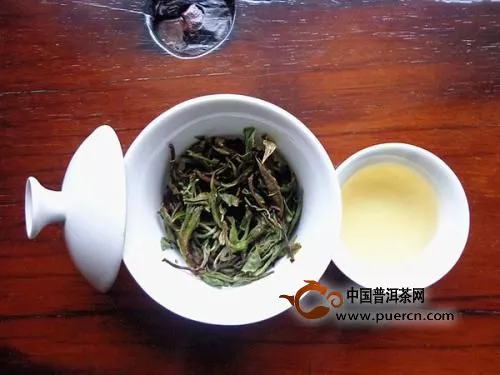 白牡丹茶怎么泡好喝