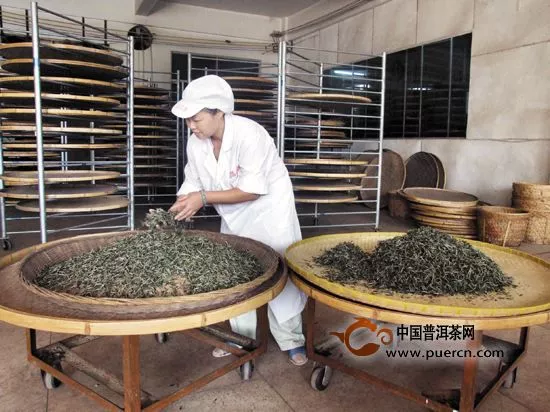 白茶的制作工艺流程