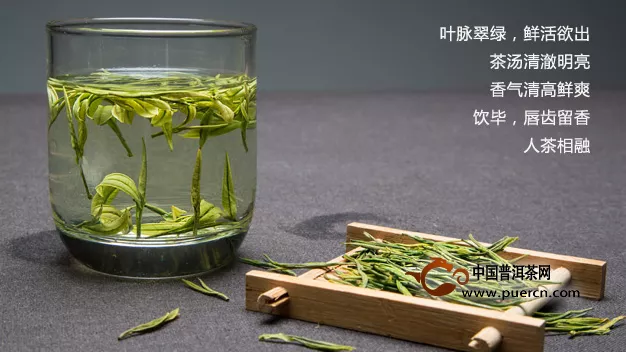 安吉白茶明前春茶到底好在哪里？