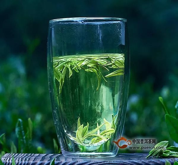 绿茶的功效与作用和禁忌